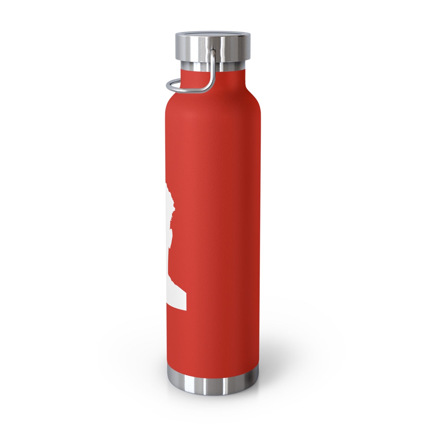 Copper Vacuum Insulated Bottle, 22oz